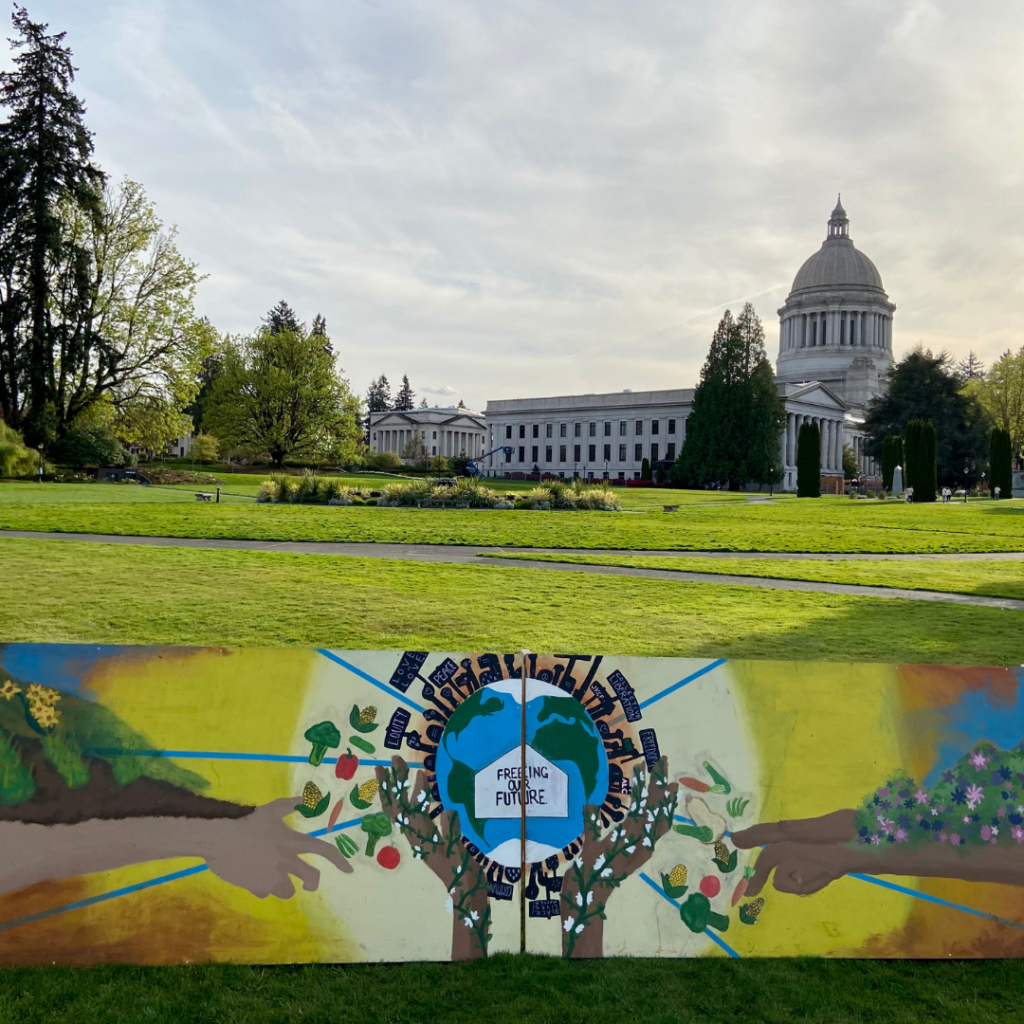 Mural on grass in front of WA state capitol building. Mural is of arms reaching out to the Earth, which is surrounded by hands reaching out holding signs that say "peace," "collective liberation" and "equity." Arms have plants and land on them that are sending produce floating towards the Earth.